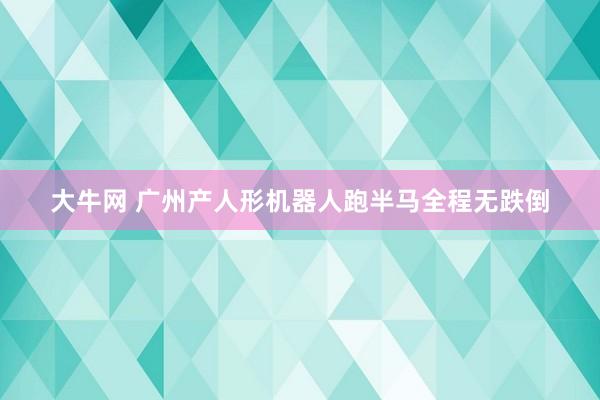 大牛网 广州产人形机器人跑半马全程无跌倒